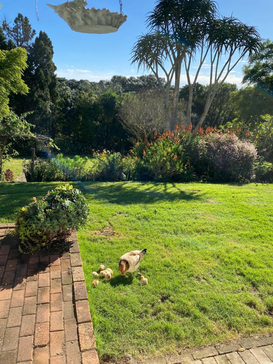 3 Bedroom Property for Sale in Bathurst Eastern Cape